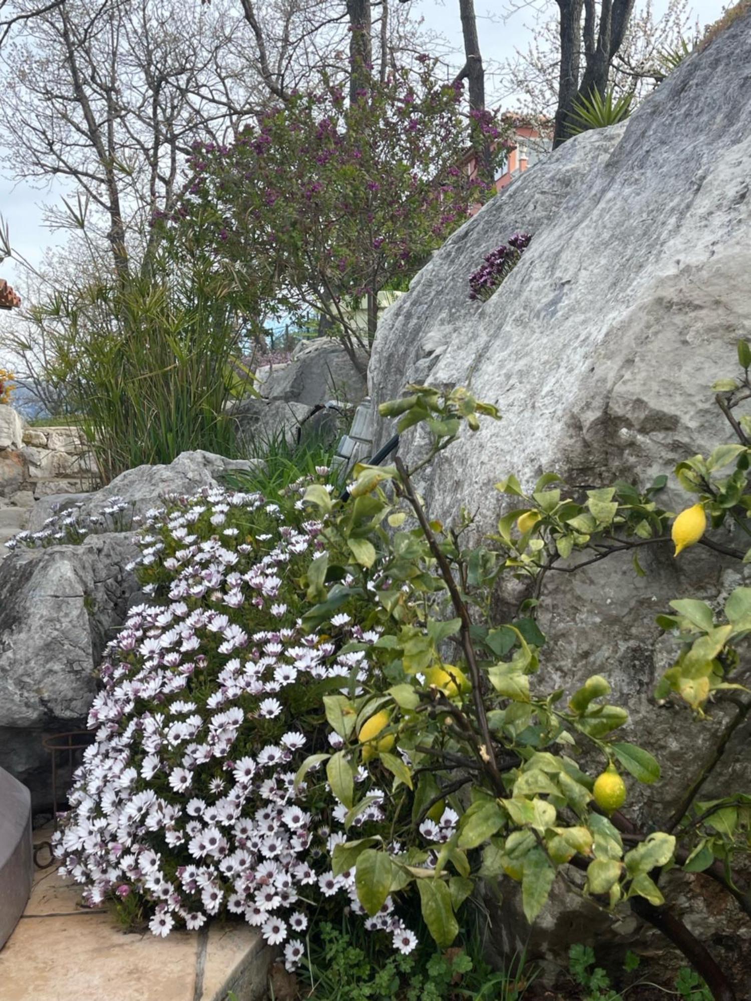Rez De Jardin, Entre Mer Et Montagne Levens Dış mekan fotoğraf