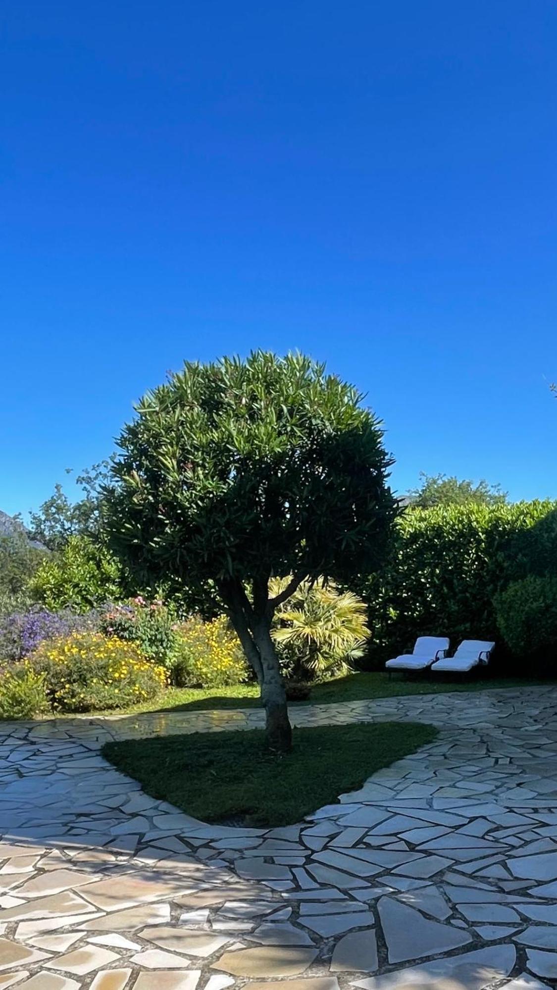 Rez De Jardin, Entre Mer Et Montagne Levens Dış mekan fotoğraf